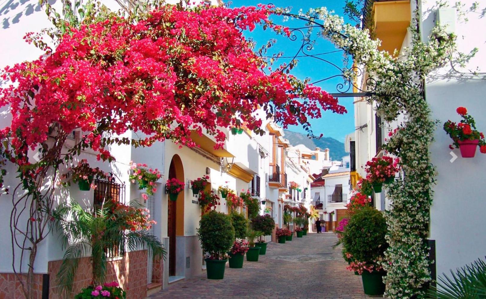 Mirador Del Puerto Appartement Estepona